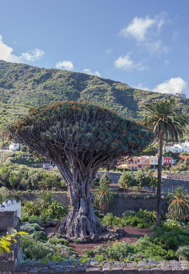 דירות איקוד דה לוס וינוס Terraza Centrico Pueblo Aparcamiento Cerca מראה חיצוני תמונה